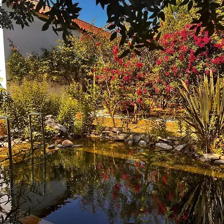 Ip7 - House In Nature Casa di campagna Carvalhal (Leiria)