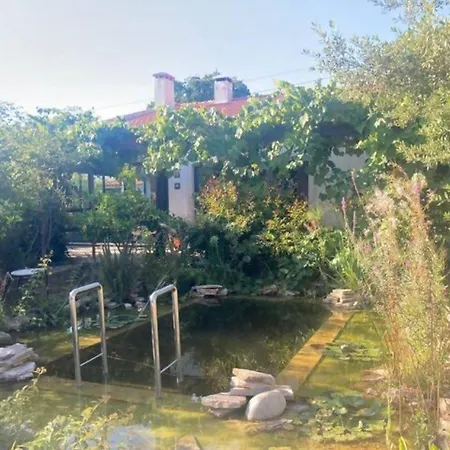 Ip7 - House In Nature